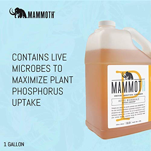 Mammoth P – 1 Gallon | Microbial Phosphorus Enhancer for Bigger Bloom & Yield