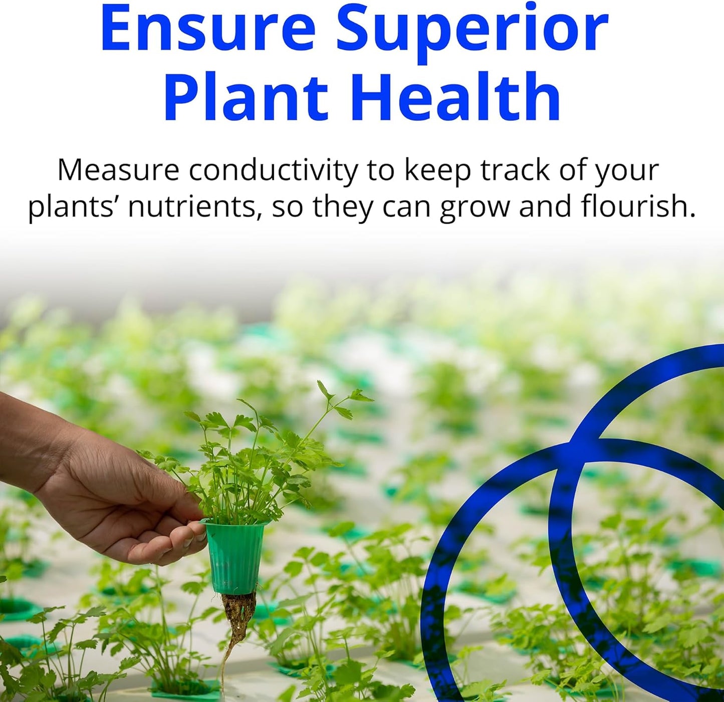 Bluelab Commercial Truncheon Meter | High-Conductivity EC/PPM Nutrient Strength Meter for Commercial Growers