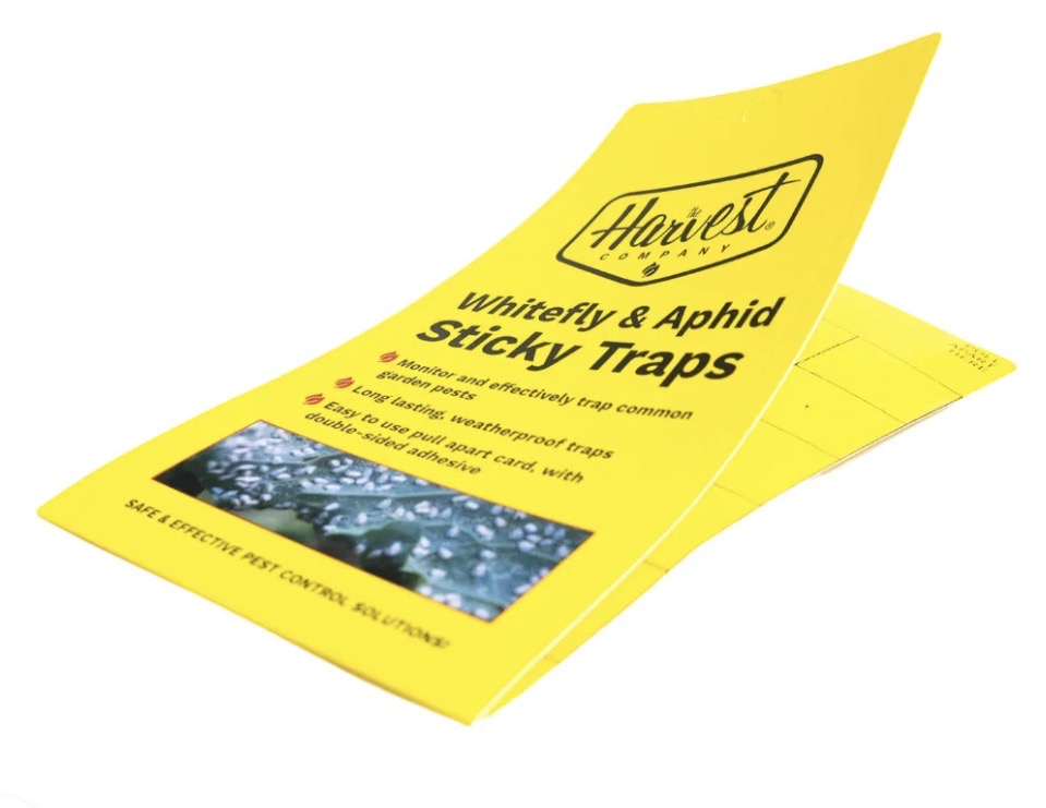 The Harvest Company Double-Sided Yellow Sticky Bug Traps – Pull Apart Insect Traps (15, 30 & 60 Pack Options)