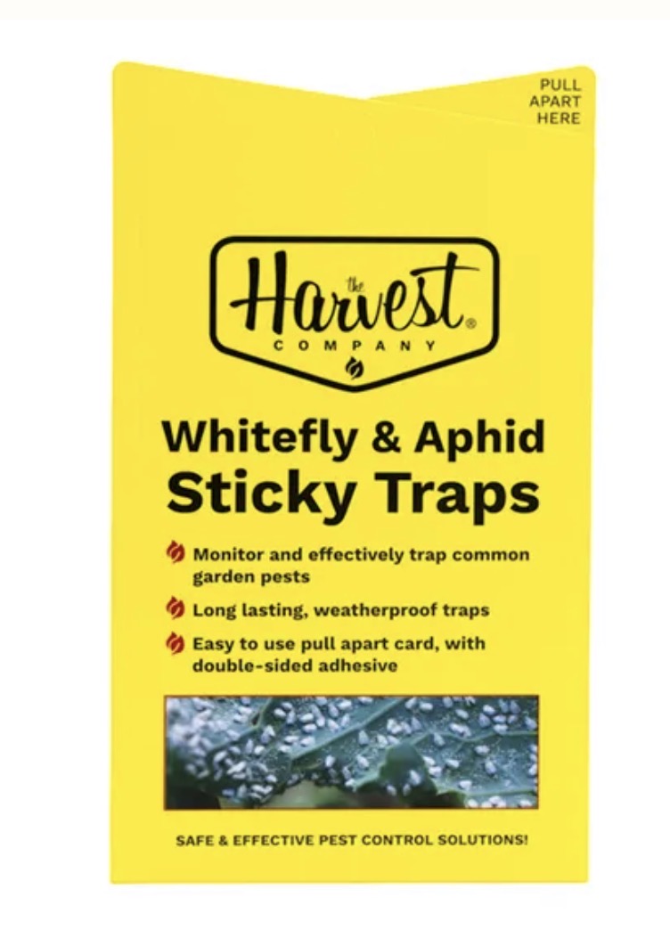 The Harvest Company Double-Sided Yellow Sticky Bug Traps – Pull Apart Insect Traps (15, 30 & 60 Pack Options)