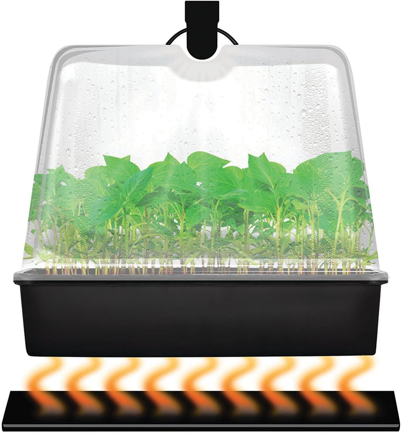 Super Sprouter propagation tray dome and heat mat system