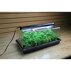 Seed starting and cloning kit with tray dome and light