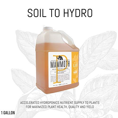 Mammoth P 1 gallon microbial phosphorus enhancer