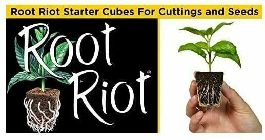 HDI Root Riot Replacement Cubes – 50 Cube Tray | Organic Propagation Cubes for Seeds & Clones