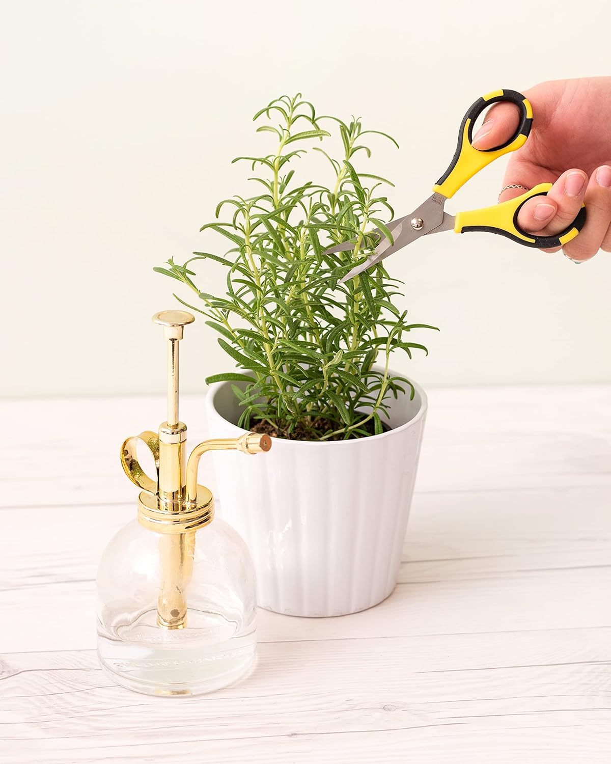 EK Tools Cutter Bee Precision Craft Scissors – Set of 2 | Fine Detail Cutting for Crafts & Scrapbooking