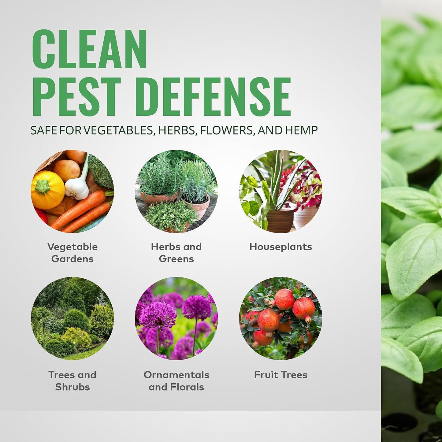 AzaMax Botanical Insecticide, Miticide & Nematicide – 4 oz Concentrate for Indoor & Outdoor Plants