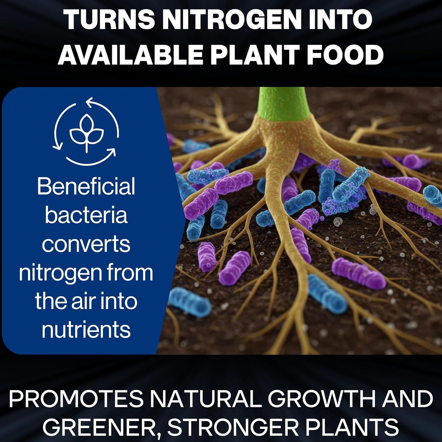Xtreme Gardening Azos Growth Promoter – 12 oz | Nitrogen-Fixing Bacteria for Root & Vegetative Growth