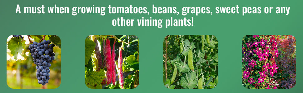 VineLine Plastic Garden Netting Roll – 6.5 ft x 330 ft, White | Plant Trellis Net for Garden & Hydroponics