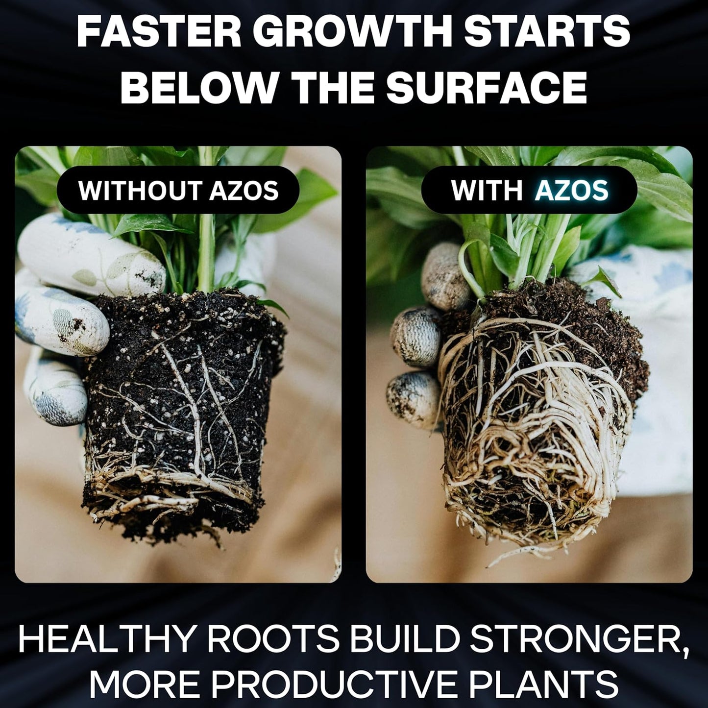 Xtreme Gardening Azos Growth Promoter – 12 oz | Nitrogen-Fixing Bacteria for Root & Vegetative Growth