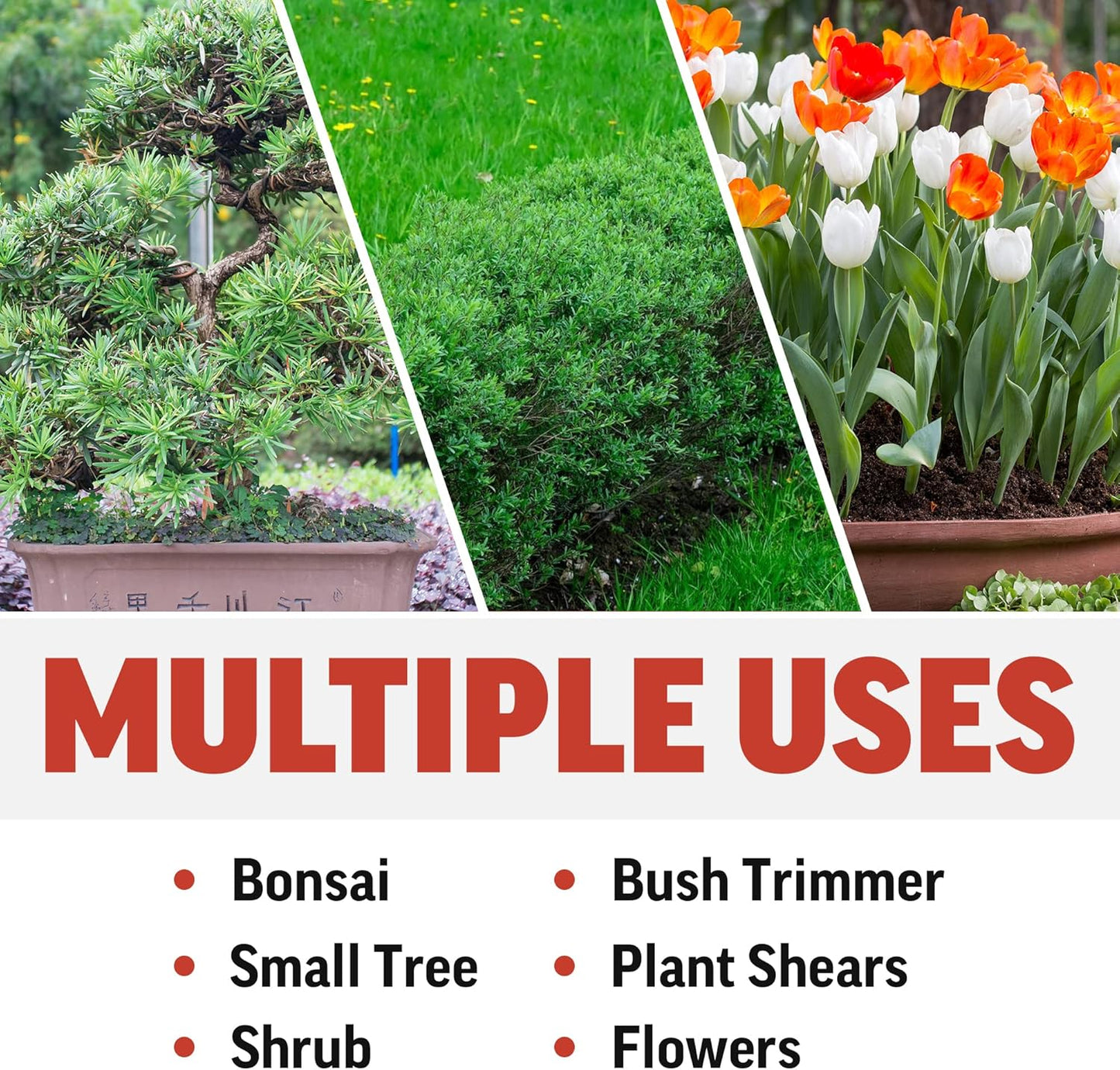 Piranha Pruner Bonsai Small Scissors – Set of 2 | Precision Mini Trimming & Pruning Shears