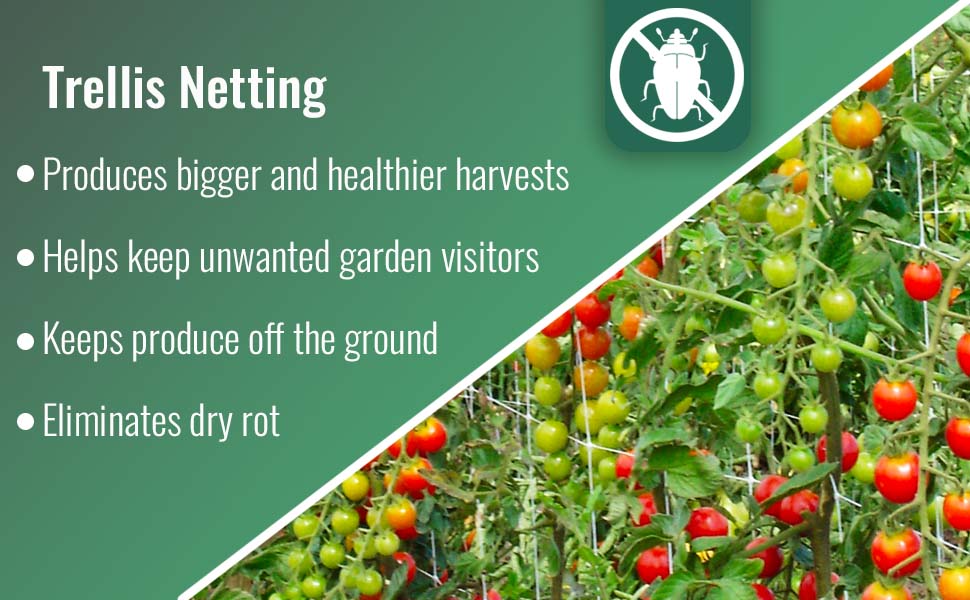 VineLine Plastic Garden Netting Roll – 6.5 ft x 330 ft, White | Plant Trellis Net for Garden & Hydroponics