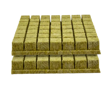 Grodan A-OK 1.5 inch Rockwool starter plugs – 98 count