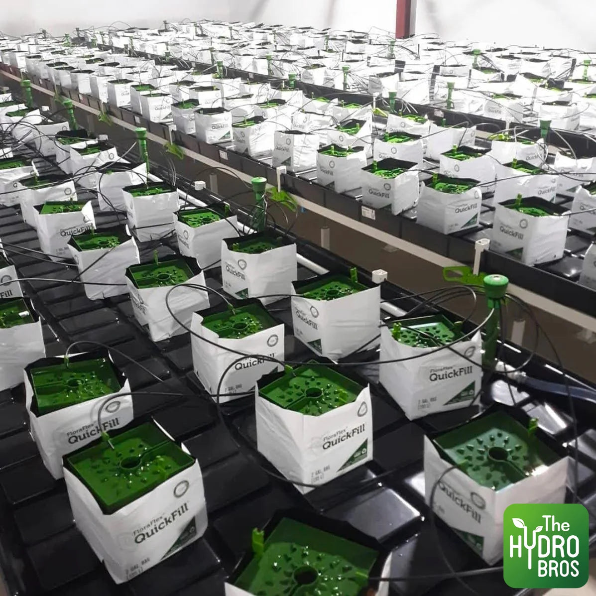 Quickfill™ Bag — 2 Gallon | 45% WHC | Pre-Filled Growing Bag | 5 Pack or 10 Pack