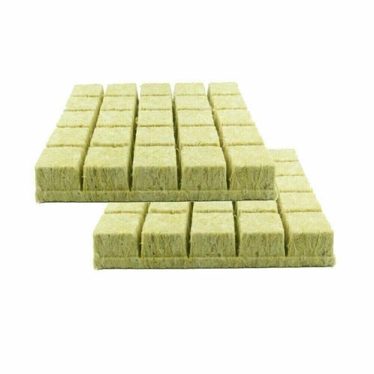 Grodan AOK 2 inch Rockwool starter plugs – 50 pack